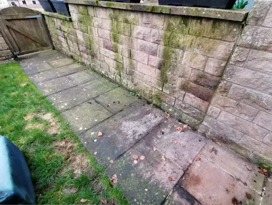 Patio & Wall Restoration - before cleaning